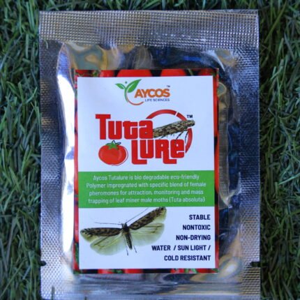 Aycos Tutalure + Funnel Trap (Aycos Tutalure (Funnel Trap)