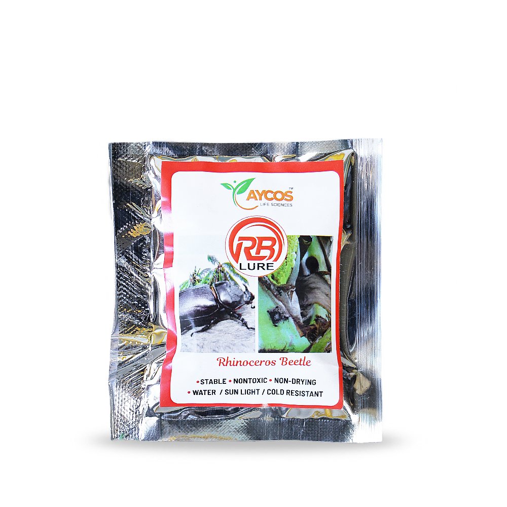 HSP_0064