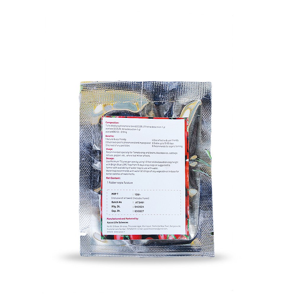 HSP_0067