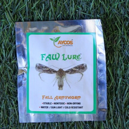 Aycos FAW Lure + Funnel Trap (1 Lure + 1 Trap)