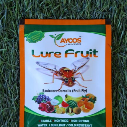 Aycos Lure Fruit (Big Lure)