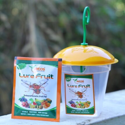 Aycos Lure Fruit & Aycos Trap (Big Lure)