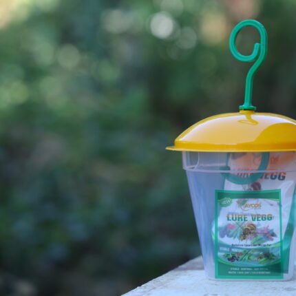Aycos Lure Vegg & Aycos Trap (Big Lure)