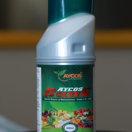 Aycos Run6