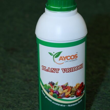 Aycos Vriddhi