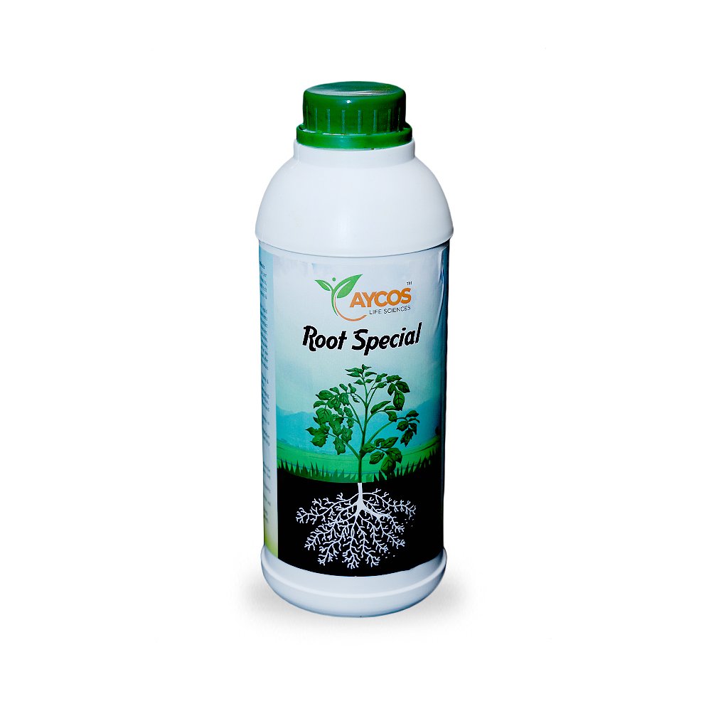 HSP_9928