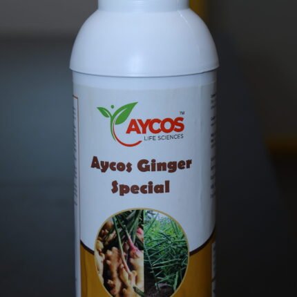 Aycos Ginger Special