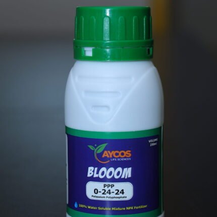 Aycos Blooom