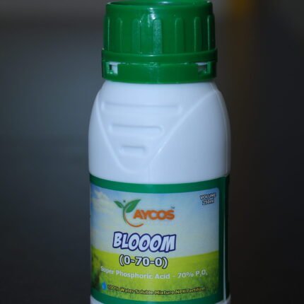 Aycos Blooom