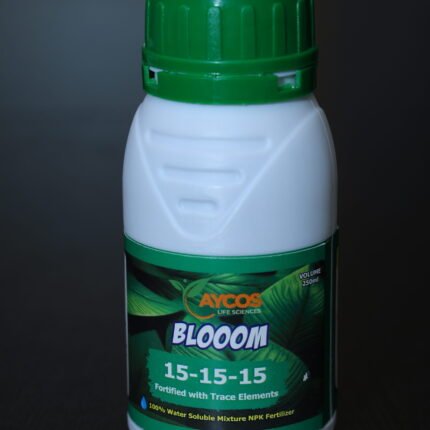 Aycos Blooom