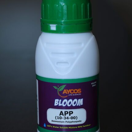 Aycos Blooom